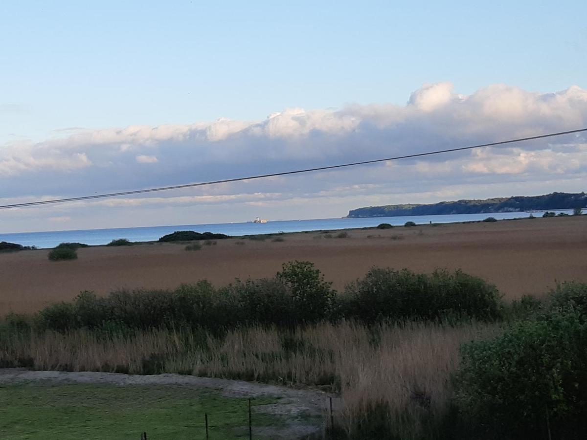 Laguna *