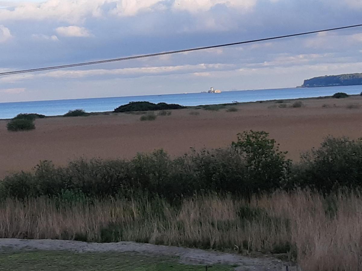 Laguna *